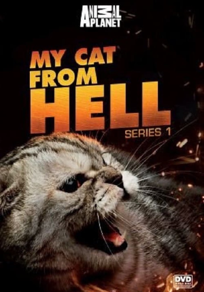 My cat from hell season 1 watch episodes streaming online